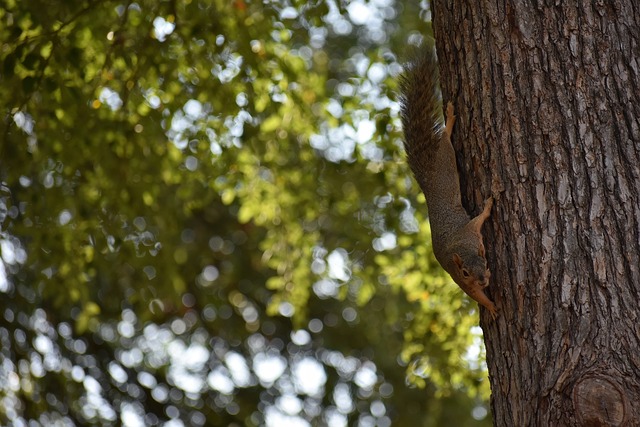 数据显示 数据显示
