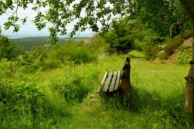 至可以追溯 至可以追溯