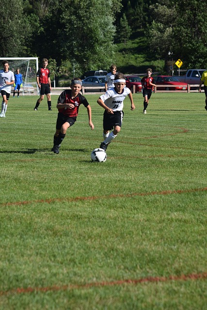 的名字始终 的名字始终