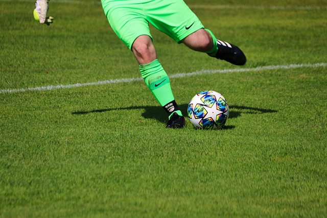 作夥伴的資 作夥伴的資